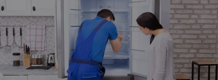 Ремонт холодильников Baucknecht